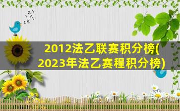 2012法乙联赛积分榜(2023年法乙赛程积分榜)