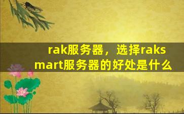 rak服务器，选择raksmart服务器的好处是什么