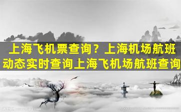 上海飞机票查询？上海机场航班动态实时查询上海飞机场航班查询插图