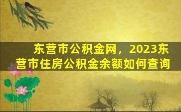 东营市公积金网，2023东营市住房公积金余额如何查询