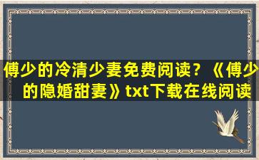 傅少的冷清少妻免费阅读？《傅少的隐婚甜妻》txt下载在线阅读全文,求百度网盘云资源