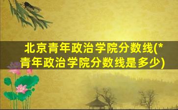 北京青年政治学院分数线(*青年政治学院分数线是多少)