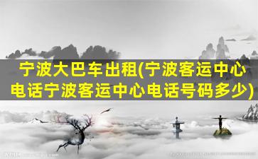 宁波大巴车出租(宁波客运中心电话宁波客运中心电话号码多少)