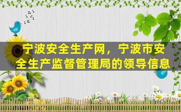 宁波安全生产网，宁波市安全生产监督管理局的领导信息