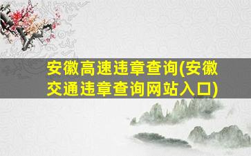 安徽高速违章查询(安徽交通违章查询网站入口)