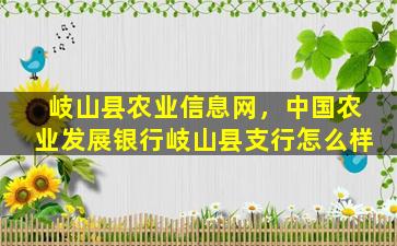 岐山县农业信息网，*农业发展银行岐山县支行怎么样