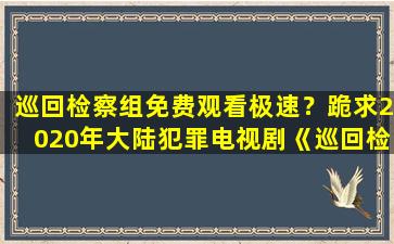 巡回检察组免费观看极速？跪求2020年大陆犯罪电视剧《巡回检察组》高清视频在线观看插图