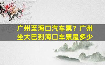 广州至海口汽车票？广州坐大巴到海口车票是多少