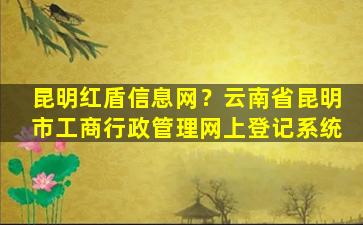 昆明红盾信息网？云南省昆明市工商行政管理网上登记系统