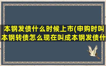 本钢发债什么时候上市(申购时叫本钢转债怎么现在叫成本钢发债什么时间上市啊)插图