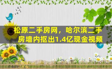 松原二手房网，哈尔滨二手房墙内抠出1.4亿现金视频插图