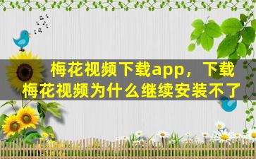 梅花视频下载app，下载梅花视频为什么继续安装不了