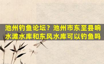 池州钓鱼论坛？池州市东至县响水滩水库和东风水库可以钓鱼吗插图