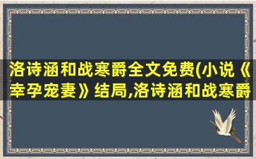 洛诗涵和战寒爵全文免费(小说《幸孕宠妻》结局,洛诗涵和战寒爵最后在一起了吗)