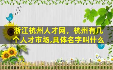 浙江杭州人才网，杭州有几个人才市场,具体名字叫什么