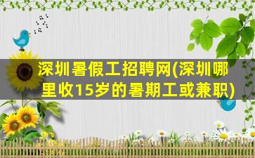 深圳暑假工招聘网(深圳哪里收15岁的暑期工或兼职)插图