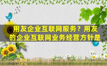 用友企业互联网服务？用友的企业互联网业务经营方针是