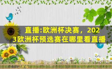 直播:欧洲杯决赛，2023欧洲杯预选赛在哪里看直播