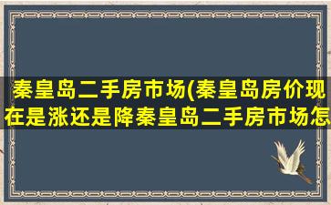 秦皇岛二手房市场(秦皇岛房价现在是涨还是降秦皇岛二手房市场怎么样)