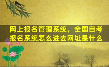 网上报名管理系统，全国自考报名系统怎么进去网址是什么插图