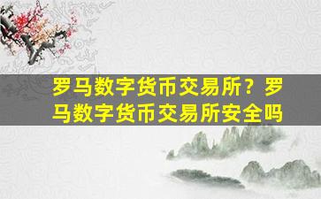 罗马数字货币交易所？罗马数字货币交易所安全吗插图