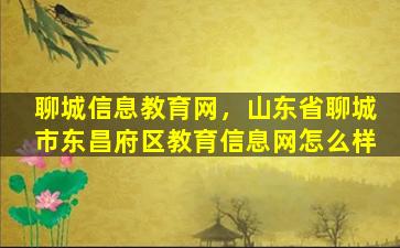 聊城信息教育网，山东省聊城市东昌府区教育信息网怎么样插图