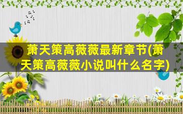 萧天策高薇薇最新章节(萧天策高薇薇小说叫什么名字)插图