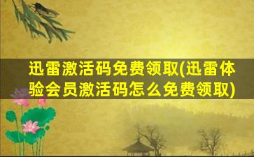 迅雷激活码免费领取(迅雷体验会员激活码怎么免费领取)插图