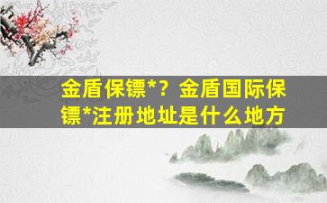 金盾保镖*？金盾国际保镖*注册地址是什么地方插图