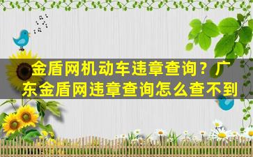 金盾网机动车违章查询？广东金盾网违章查询怎么查不到插图