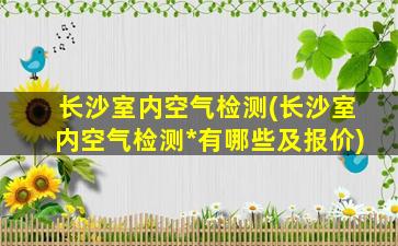 长沙室内空气检测(长沙室内空气检测*有哪些及报价)