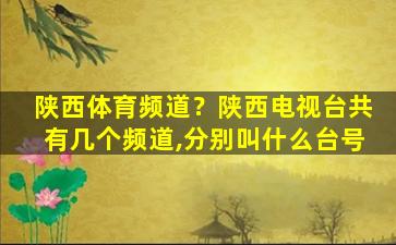 陕西体育频道？陕西电视台共有几个频道,分别叫什么台号