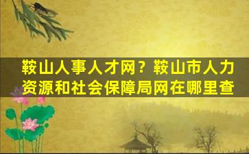 鞍山人事人才网？鞍山市人力资源和社会保障局网在哪里查